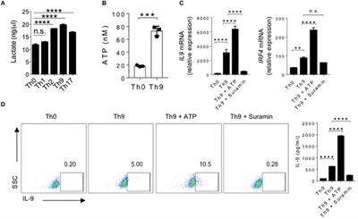 ATP Triggers Human Th9 Cell Differentiation via Nitric Oxide-Mediated mTOR-HIF1α Pathway